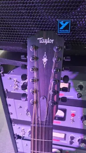 Taylor Guitars - 362CE 2